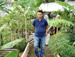 Camat Tallo Tinjau Urban Farming Kalukuang, Wujudkan Ketahanan Pangan Berbasis Masyarakat